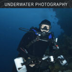 Under Water Photography